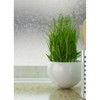 Set of 2 (18"x158") Fablon Dots Window Film Set: Clear Vinyl Privacy & Tint, Abstract Shapes, 17.71" Width - 2 of 4