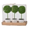 S/3 D3.5x9.5" Mini Faux Topiaries in Cream Pot - 2 of 4