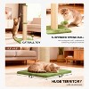 FDW 22/33 Inch Cat Scratching Post Cat Scratcher Natural Sisal Rope Scratch Post Kitten Trees with Hanging Ball for Indoor Cats - 3 of 4