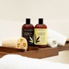 Dr. Hempster Anti Hair-Loss Biotin Shampoo and Conditioner Bundle with Hemp Seed Oil - 17oz Bottles - 4 of 4