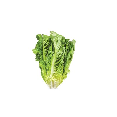 Romaine Hearts - 22oz Bag : Target