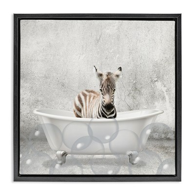 Stupell Industries Baby Zebra Bath Time, 25" x 25"