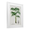 Stupell Industries Vintage Palm Illustration Framed Print Under Glass - 2 of 4