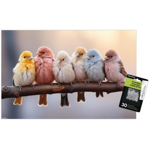 Trends International Reinders: Animals - Pastel Birds Unframed Wall Poster Print Clear Push Pins Bundle 14.725" x 22.375" - 1 of 4