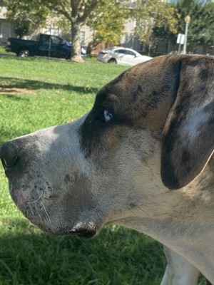 Guest review image 1 of 1, zoom in