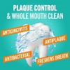 TheraBreath Plaque Control Mouthwash - 16 fl oz - 3 of 4