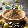Organic Amla Powder 4 Oz - 2 of 4