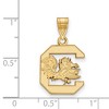 Black Bow Jewelry 14k Yellow Gold Plated Sterling Silver South Carolina Gamecocks NCAA Medium Pendant - 2 of 3
