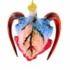 Morawski 3.5 Inch Blue Face Krampus Horns Christmas Tree Ornaments - 3 of 4