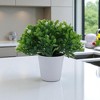 Unique Bargains Artificial Plants Mini Gypsophila Plastic 2.36"x2.36"x5.12" 1 Pc - 2 of 4