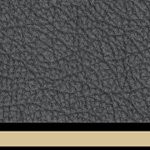 army academy black knights