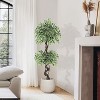 6FT Artificial Ficus Tree for Home Decor Indoor, Lifelike Fake Ficus Tree with Pebbles & Green Fake Moss - 3 of 4