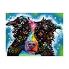 Trademark Fine Art -Dean Russo 'Border Collie 3' Canvas Art - 2 of 3