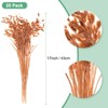 Unique Bargains Dried Grass Chasmanthium Oat Home Decor Flower Bouquet 1 Pc - 3 of 4