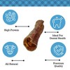 Country Living Beef Trachea Dog Treats - 100% Natural, High-Protein, Low-Fat Chews with Chondroitin for Joint Support – 6” (5-Pack) - 4 of 4