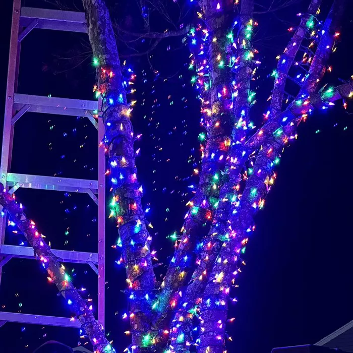 GUEST_7dbd3720-d1ad-411d-a9ad-1979ada71184