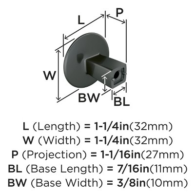Graphite Polished Steel Round Cabinet Knob with Mounting Hardware