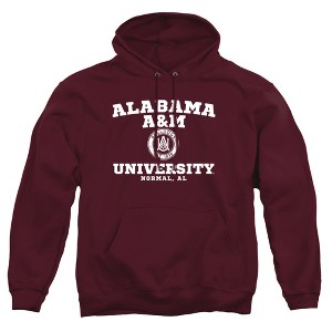 Campus Lab Alabama A&M University Official Circle Logo Adult Pull-Over Hoodie - 1 of 4