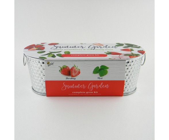 Windowsill Kit (Strawberry, Mint) - Buzzy