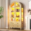 Vlsrka arched glass-door storage cabinet with LED lights,Wood - 4 of 4