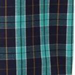 tidal green plaid