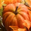 20" Harvest Sunflower Cornucopia - National Tree Company - 3 of 4