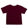 NCAA Texas A&M Aggies Toddler Boys' 2pk T-Shirt - 2 of 4