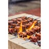New York Shuk Harissa BBQ Sauce & Marinade - 14oz - 4 of 4