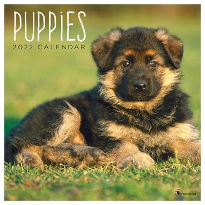 2022 Wall Calendar Puppies - The Time Factory