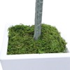 Artificial Olive Tree, Faux Olive Tree with Tall White Planter, Ideal for Home Decor and Housewarming Gift - 4 of 4