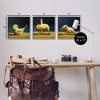 Stupell Industries Yoga Chick Trio Funny Farm Animals Black Framed Giclee Art - 3 of 4