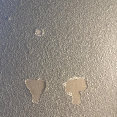 Guest review image 1 of 1, zoom in