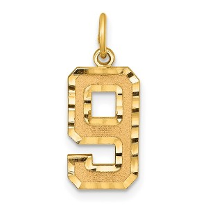 Black Bow Jewelry 14K Yellow Gold, Varsity Collection, Medium D/C Pendant Number 9 - 1 of 4