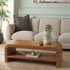 Avivan 1 Shelf Coffee Table - CNS6608 - Safavieh - 2 of 4