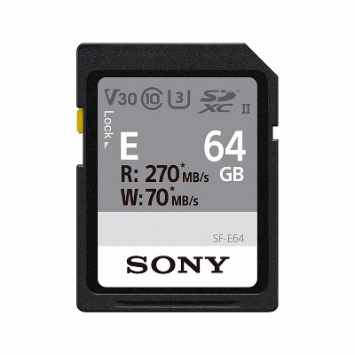 Sony 64GB E-Series High Speed SD Card