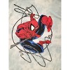 Spiderman Grey Cloud Washed Long SLeeve Tee - 4 of 4