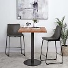Dreama Retro Side Chair Dining Chair with Metal Legs for Kitchen, Living, Dining Room, Set of 2,The Pop Home - 4 of 4