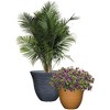 Classic Home and Garden Indoor/Outdoor Round Honeysuckle Resin Flower Pot Planter - 3 of 4