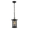 Osprey 8" Outdoor Pendant - PLT4030 - Black - Safavieh - 2 of 4