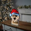 Holiday Dog Ekkolight 16.5"H - 3 of 4