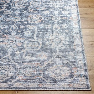 Hauteloom Cheick Living Room, Bedroom Machine Washable Area Rug - Traditional - 1 of 4