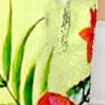 surf boat floral cream