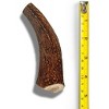 WhiteTail Naturals Deer Antler Dog Chew – Thick Medium 1-Pack – Natural, Long-Lasting, Odor-Free & USA Made - 3 of 4