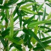 Nearly Natural 9-ft Artificial Green Bamboo Tree - 3 of 4