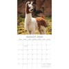 2026 Square Wall Calendar, Llamas, 16-Month Animals Theme with 180 Reminder Stickers (12x12 In) - 3 of 4