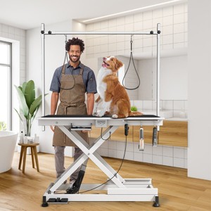 Electric pet grooming table, 110V/220V professional groomer recommend - 1 of 4
