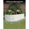 2-Pack Galvanized Steel Raised Garden Beds - Outdoor Deep Planter Box Kit, Rust-Resistant Coated Design for Vegetables, Flowers & Herbs - 3 of 4