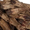Vickerman Natural Botanicals 2.8" Mahogany Pods, Natural. Includes 100 pieces per unit - 3 of 4