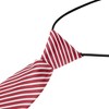 INSPIRE CHIC Pre-tied Elastic Neck Ties - 3 of 4