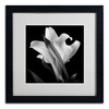 Trademark Fine Art -Michael Harrison 'Lily' Matted Framed Art - 2 of 4